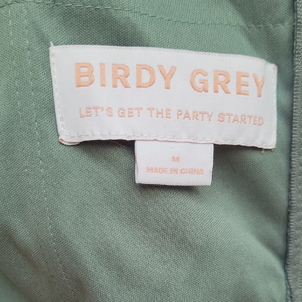 Birdy Grey Strapless Dress in Soft Green - Picture 7 of 10